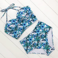 Sexy Floral Print High Waist Swimsuit 2019 Bikini Push Up Swimwear Women Vintage Biquini Bathing Suit  Maillot de Bain Femme XXL